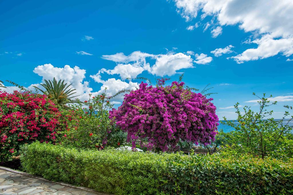 Douka Sea Front Residencies Daire Monemvasía Oda fotoğraf