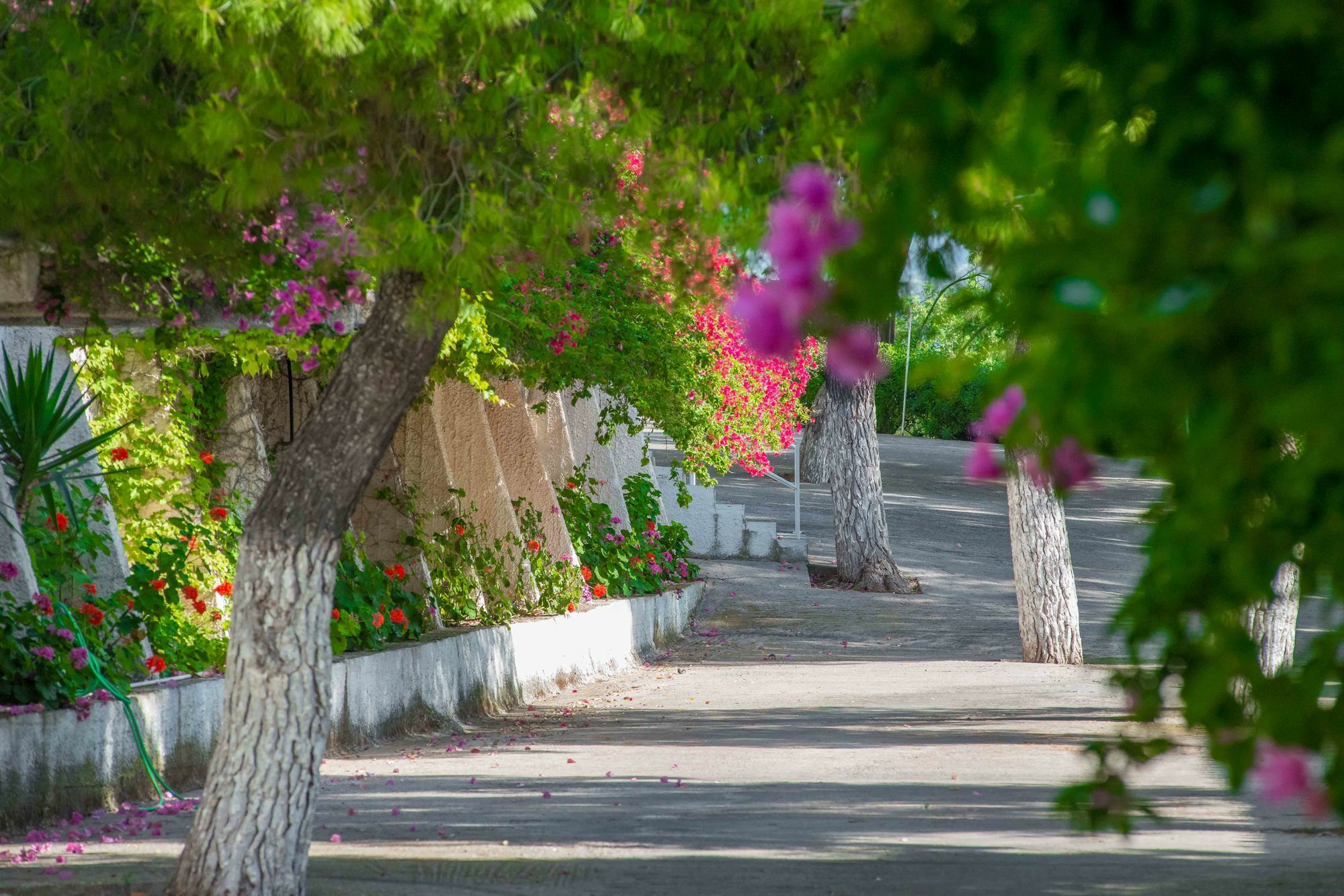 Douka Sea Front Residencies Daire Monemvasía Dış mekan fotoğraf