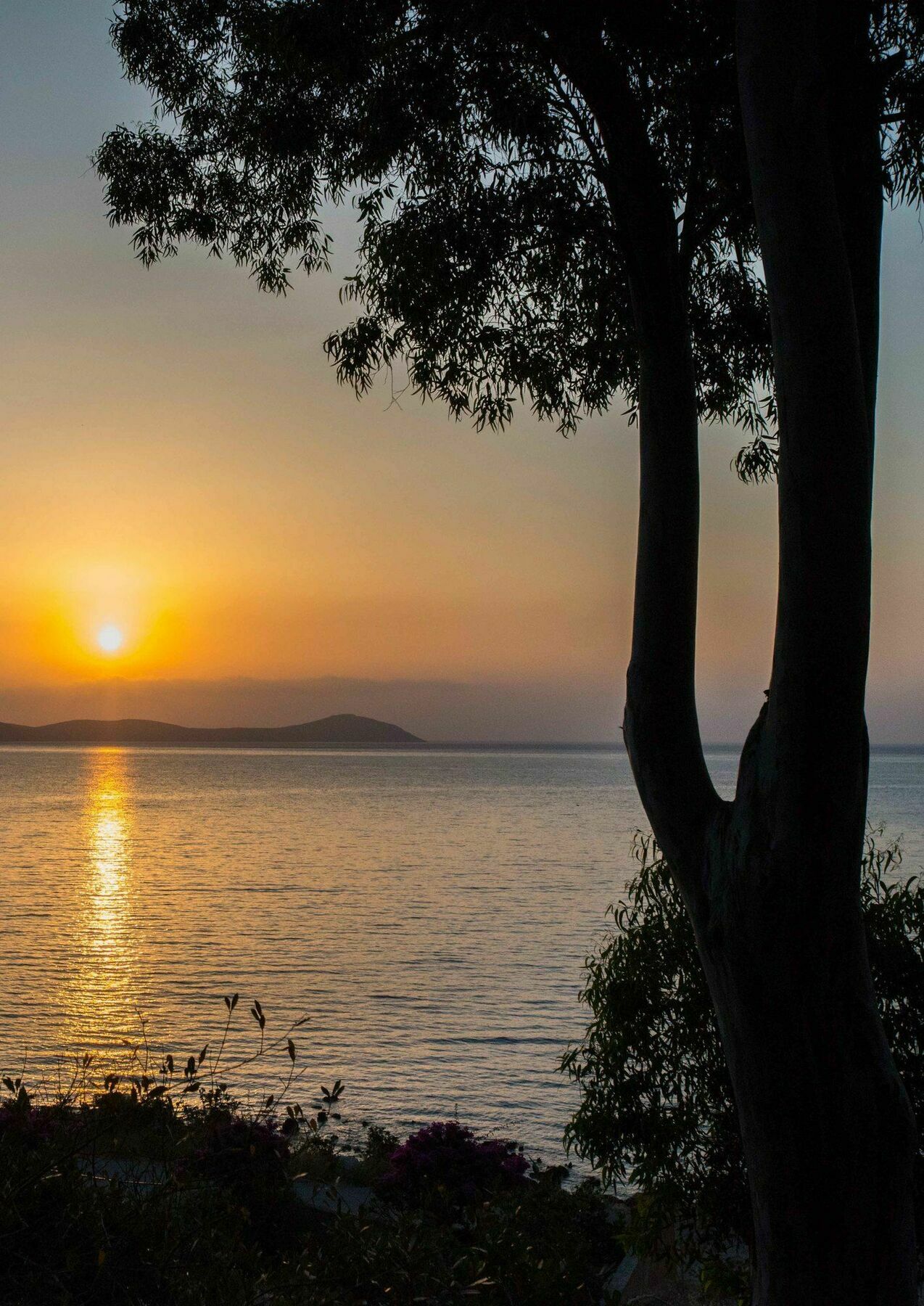 Douka Sea Front Residencies Daire Monemvasía Dış mekan fotoğraf